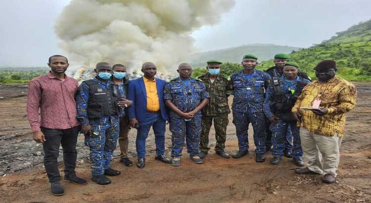 Guinée : Incinération des Faux Médicaments saisie au Marché de Madina – Une Réaction Energisante mais Quid de l’Efficacité ?