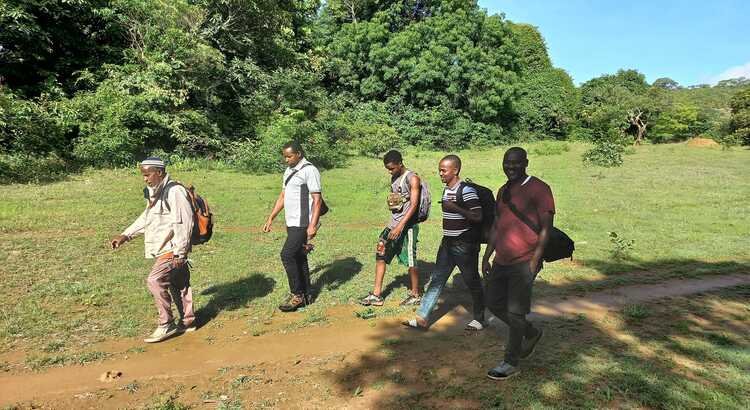 Les Bienfaits de la Marche Quotidienne : Un Rituel Simple pour une Vie Équilibrée