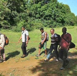 Les Bienfaits de la Marche Quotidienne : Un Rituel Simple pour une Vie Équilibrée