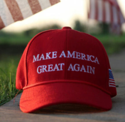 Une vague d'émigration envisagée après la réélection de Trump