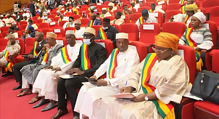 Bamako, Mali : Adoption par le CNT d'une loi pénalisant l'homosexualité
