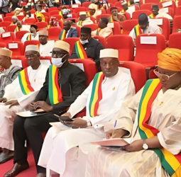 Bamako, Mali : Adoption par le CNT d'une loi pénalisant l'homosexualité