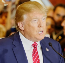 Trump qualifie Kamala Harris d’« handicapée mentale » lors d'un rassemblement électoral